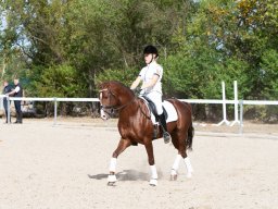 IMG_8124_web
